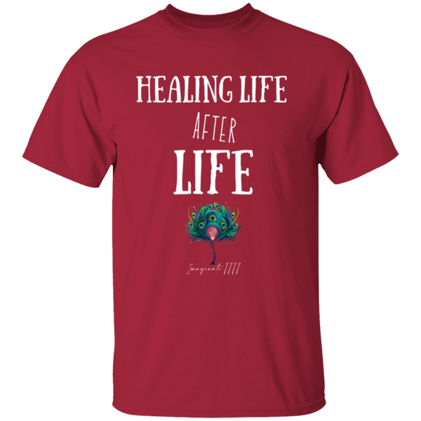 Imaginate 1111 HEALING LIFE AFTER LIFE Premium Youth 5.3 oz 100% Cotton T-Shirt