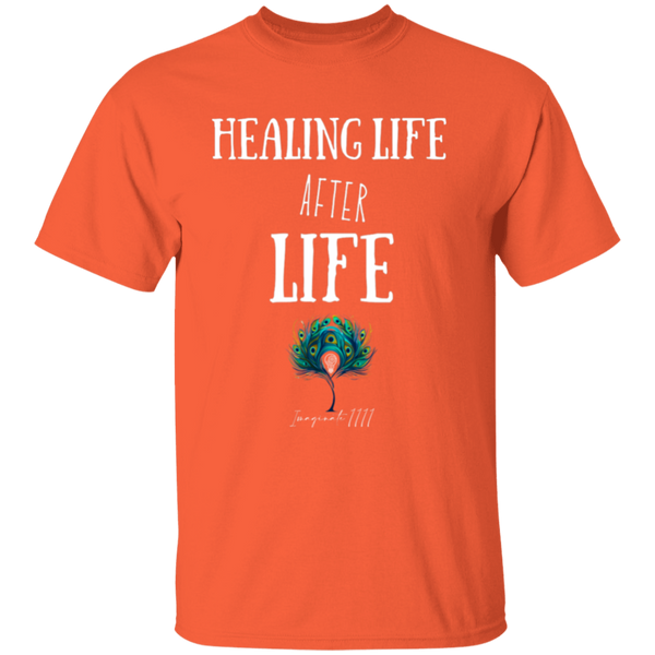 Imaginate 1111 HEALING LIFE AFTER LIFE Premium Youth 5.3 oz 100% Cotton T-Shirt