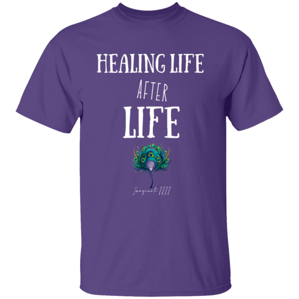 Imaginate 1111 HEALING LIFE AFTER LIFE Premium Youth 5.3 oz 100% Cotton T-Shirt